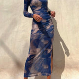 Sheer Print Bodycon Dress
