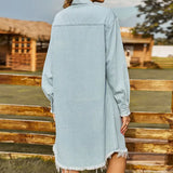 Vintage Washed Frayed Denim Dress