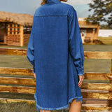 Vintage Washed Frayed Denim Dress
