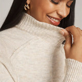 Turtleneck Turtleneck Sweater Dress